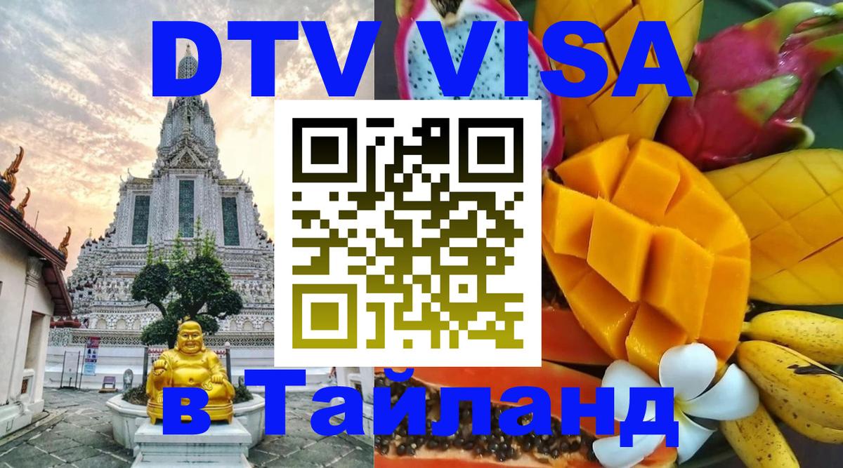 Оформление DTV визы под ключ: стоимость и тарифы, только загранпаспорт - Пенза  03.10.2025 